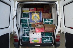 Transporte irregular de mercadorias na BR-282