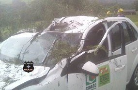 Árvore cai sobre carro da Cidasc e deixa motorista ferido