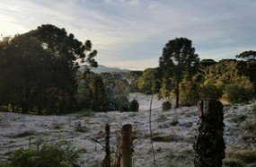 Leitora registra cenário de inverno em Joaçaba
