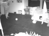 Moradores flagram indivíduo furtando calcinhas em Concórdia
