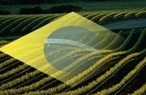Herval d´Oeste recebe ações do Programa Cidadania Rural
