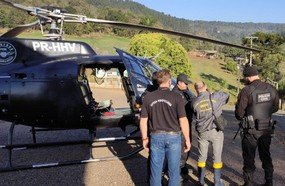 Produtores transportavam ilegalmente animais para propriedades