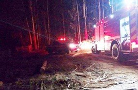 Incêndio de grandes proporções atinge reflorestamento em Herval