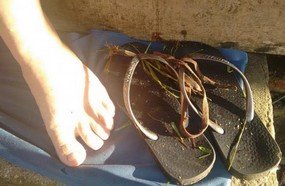 Agricultora é amarrada durante assalto em Concórdia