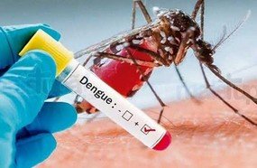 Concórdia registra primeiro caso de dengue contraído no município