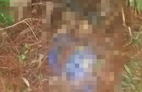 Ossada humana é encontrada no interior de Catanduvas