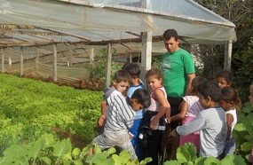 Agricultura familiar garante merenda de qualidade em Herval
