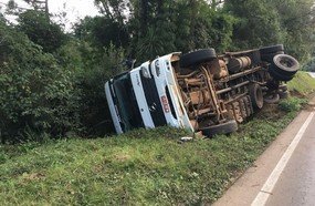 Caminhão carregado com suínos tomba na BR-282, em Catanduvas