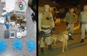 Operação varredura apreende drogas em Campos Novos