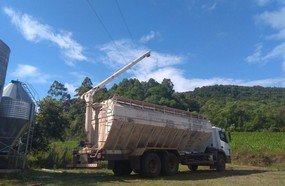 Homem morre por descarga elétrica no interior de Concórdia