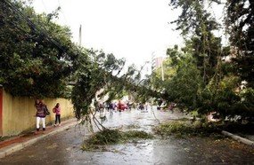 Chuva e vento forte provocam estragos em Santa Catarina