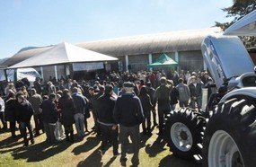 20ª Festa do Colono acontece neste domingo em Joaçaba