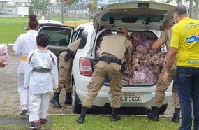 Campanha da Polícia Militar arrecada quase 20 mil brinquedos