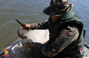 Polícia Militar Ambiental apreende redes durante Operação Piracema