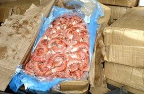 PRF apreende camarões argentinos transportados sem refrigeração
