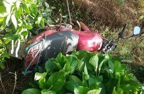 Adolescente de 15 anos morre após colidir moto em árvore