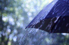 Sol, calor e pancadas de chuva em Santa Catarina
