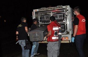 Motorista foge após atropelar e matar duas crianças em Caçador