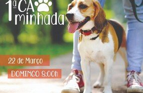 ONG Bom Pra Cachorro promove a 1ª Cãominhada em Joaçaba