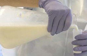 Vigilância Sanitária recolhe leite contaminado por formol