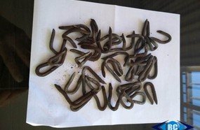 Miguelitos foram espalhados no Acesso Cidade Alta em Capinzal