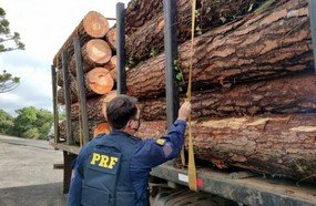 PRF flagra caminhão com excesso de peso na BR-282