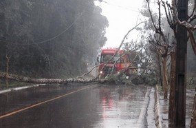 Chuva do final de semana causa transtornos em Videira