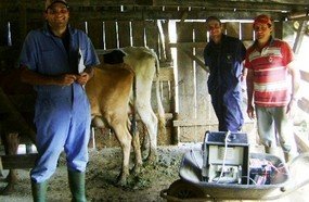 Luzerna investe em genética para aumentar a produção leiteira