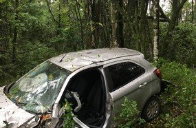 Motorista fica ferido após sair da pista e colidir veículo em árvores