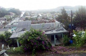 Temporal causa destelhamentos e queda de árvores em Concórdia