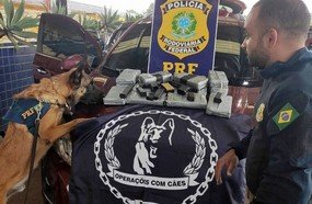 PRF apreende drogas armas e munições em lataria de carro