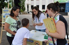 Joaçaba se mobiliza contra o mosquito aedes aegypti