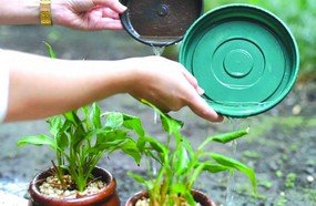 Vereadores solicitam intensificação no combate a dengue em Herval