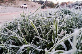 Quarta-feira tem amanhecer gelado em Santa Catarina
