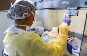 Santa Catarina vai aumentar capacidade de testagem