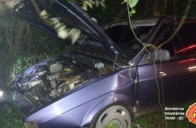 Motorista bate carro em árvore após cochilar ao volante na BR-153