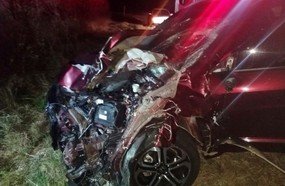 Veículo fica destruído após atropelar cavalo na BR-470