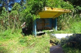 Morador promove limpeza das margens da Rodovia SC 150