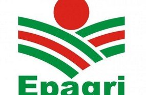 EPAGRI de Caçador é condenada por assédio moral