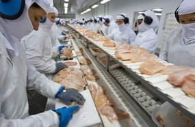BRF de Capinzal de Concórdia são impedidas de exportar frango