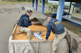 PRF apreende 500 mil maços de cigarros escondidos em carreta