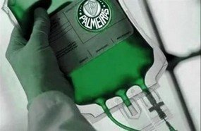 Torcedores do Palmeiras vão doar sangue nesta quarta-feira