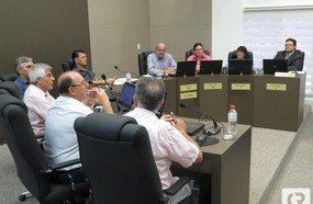 Aprovada Lei para regulamentar criação de cães e gatos