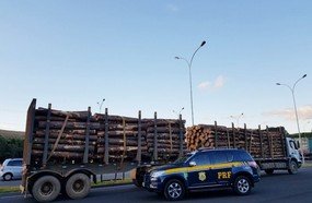 PRF flagra excesso em carga de toras na BR-282, em Campos Novos