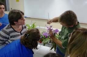 Unoesc realizou curso sobre cuidados e cultivo de orquídeas