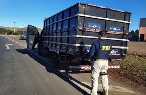 PRF apreende 100 mil carteiras de cigarros em Água Doce