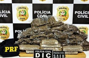 PRF e Polícia Civil apreendem 20 kg de maconha e skunk em Chapecó