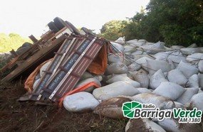 Caminhão carregado com erva mate tomba na SC-458