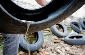Criadouro do Aedes renderá multa e suspensão a donos de imóveis