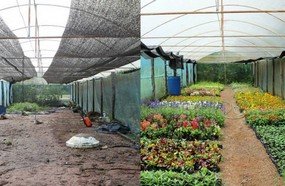 Flores Facin volta a atender depois dos estragos causados pela chuva